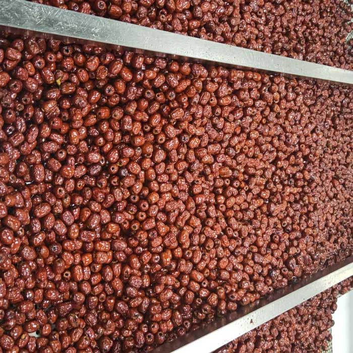 香酥脆枣 (3).jpg