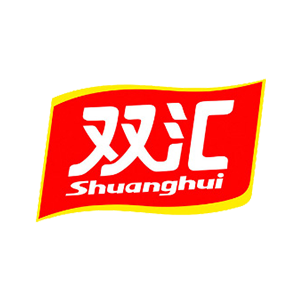 合作伙伴 12